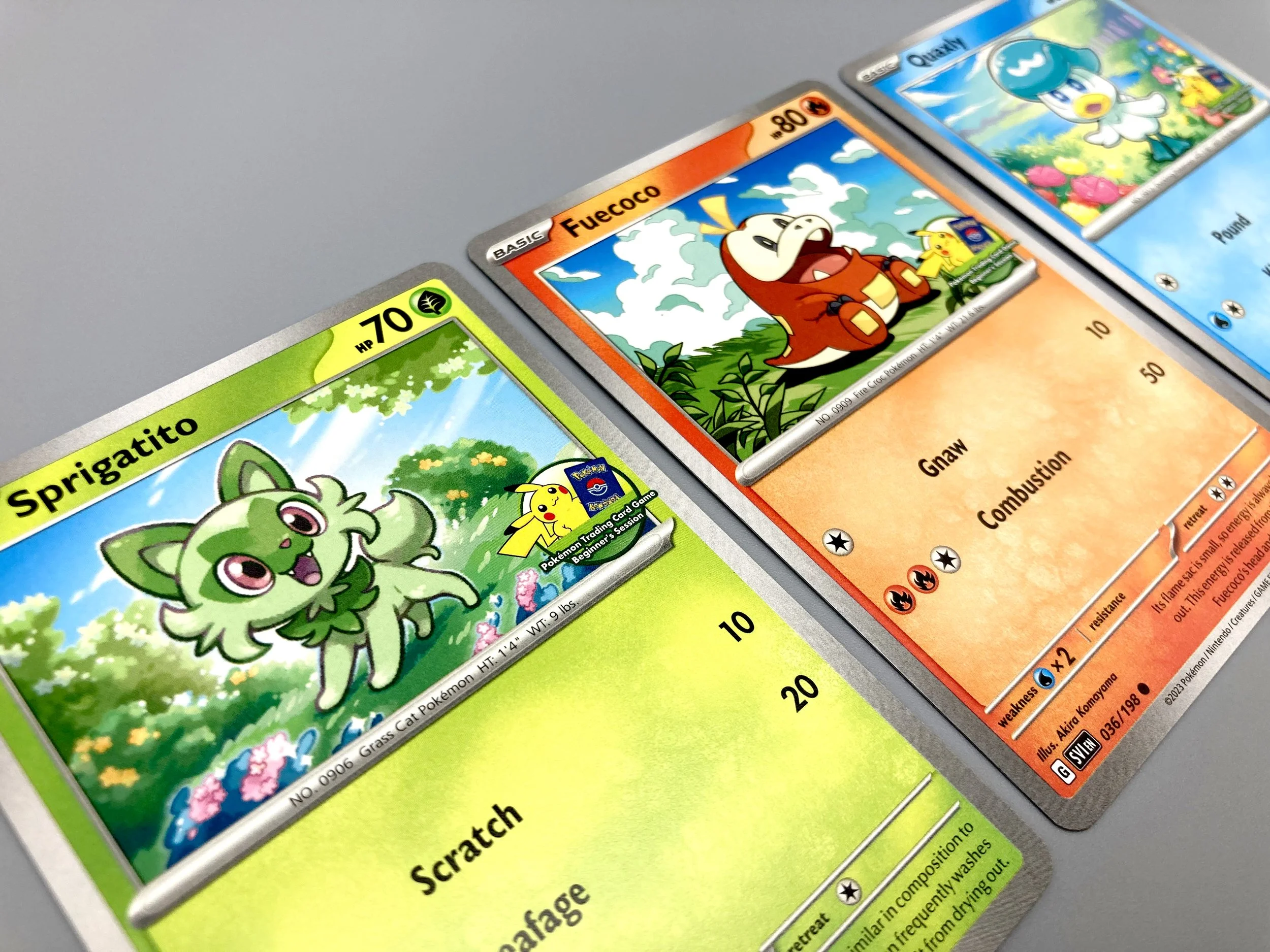 Pokémon TCG Beginner's Session Starters — MATOBA DESIGN