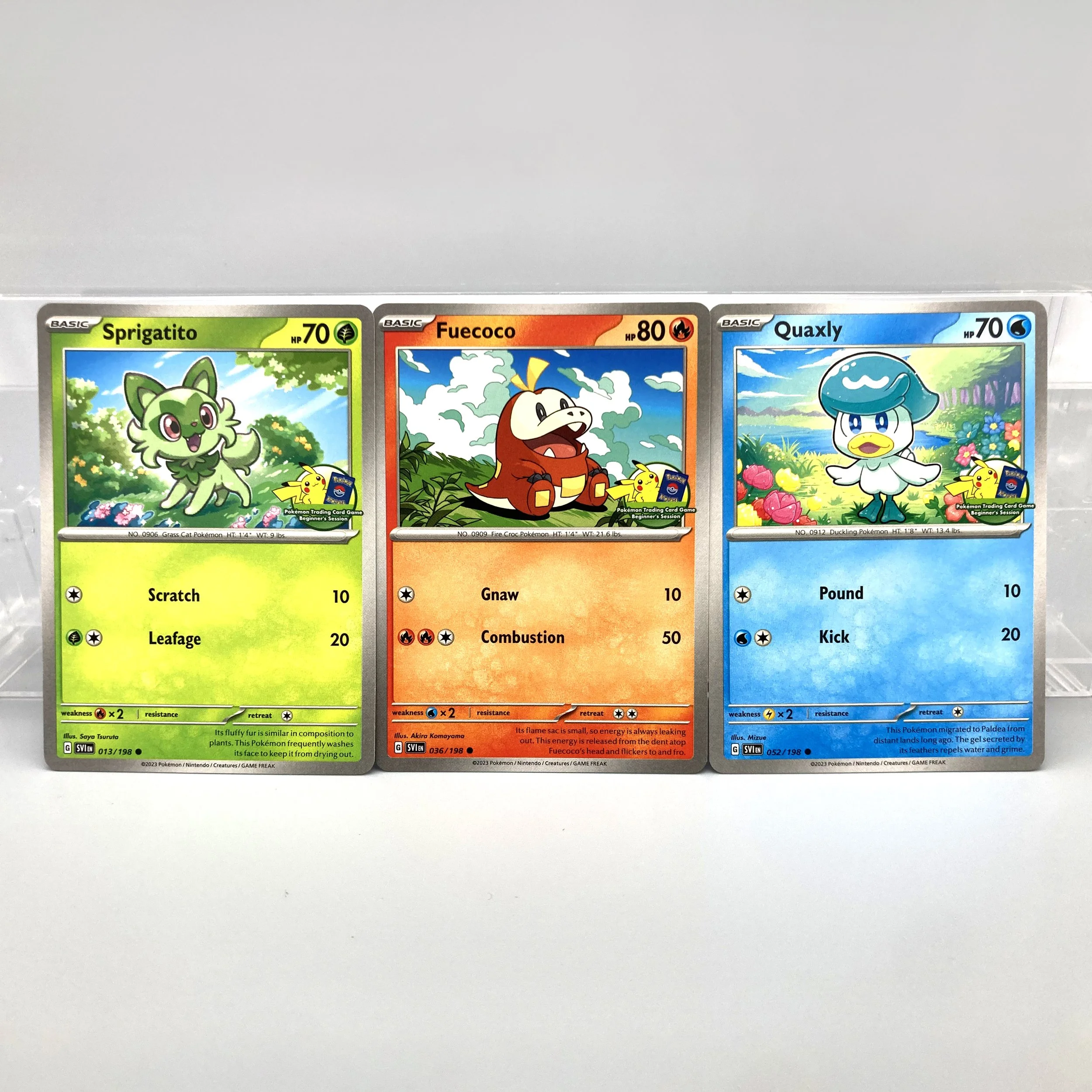 Pokémon TCG Beginner's Session Starters — MATOBA DESIGN