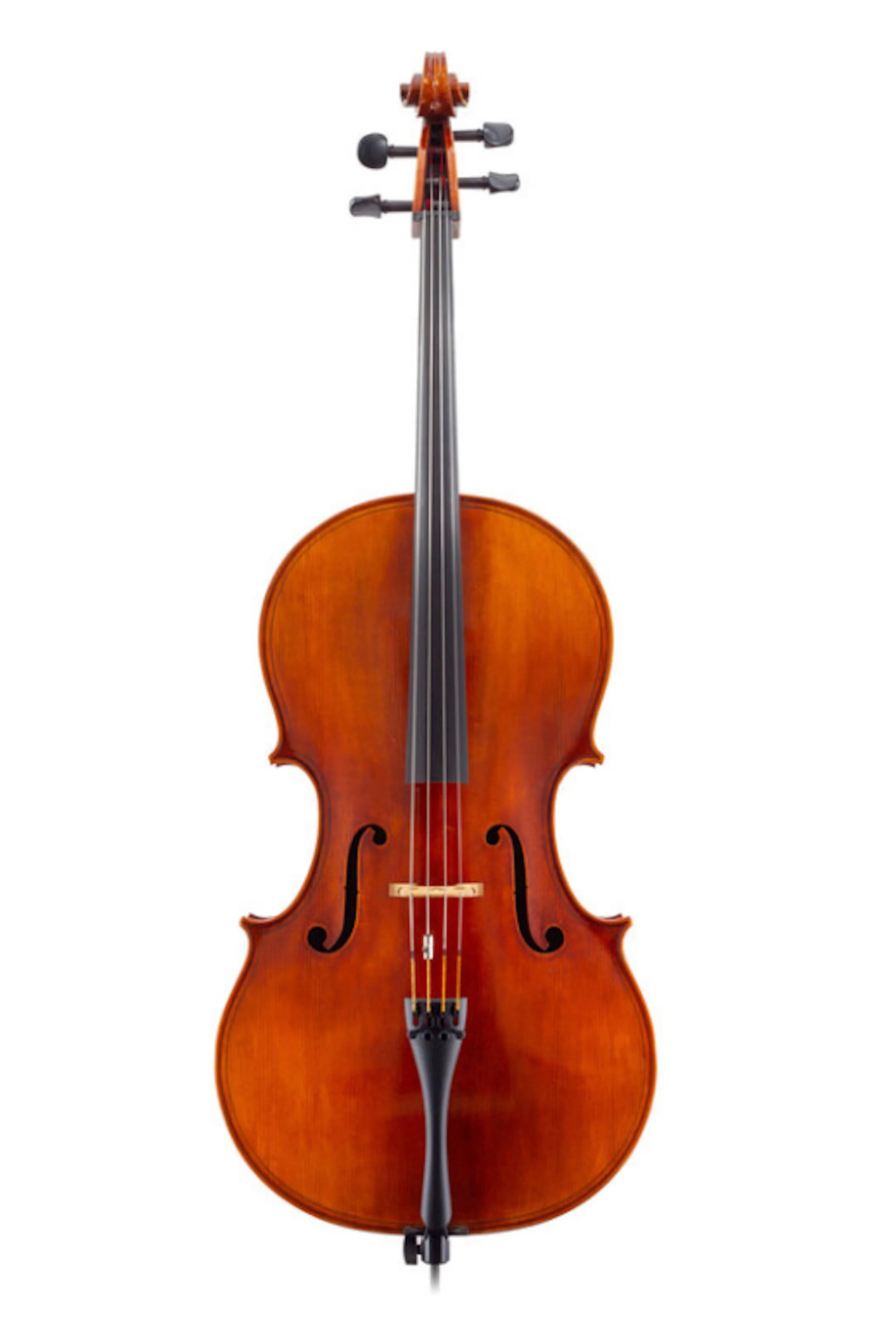 cello pic.jpg