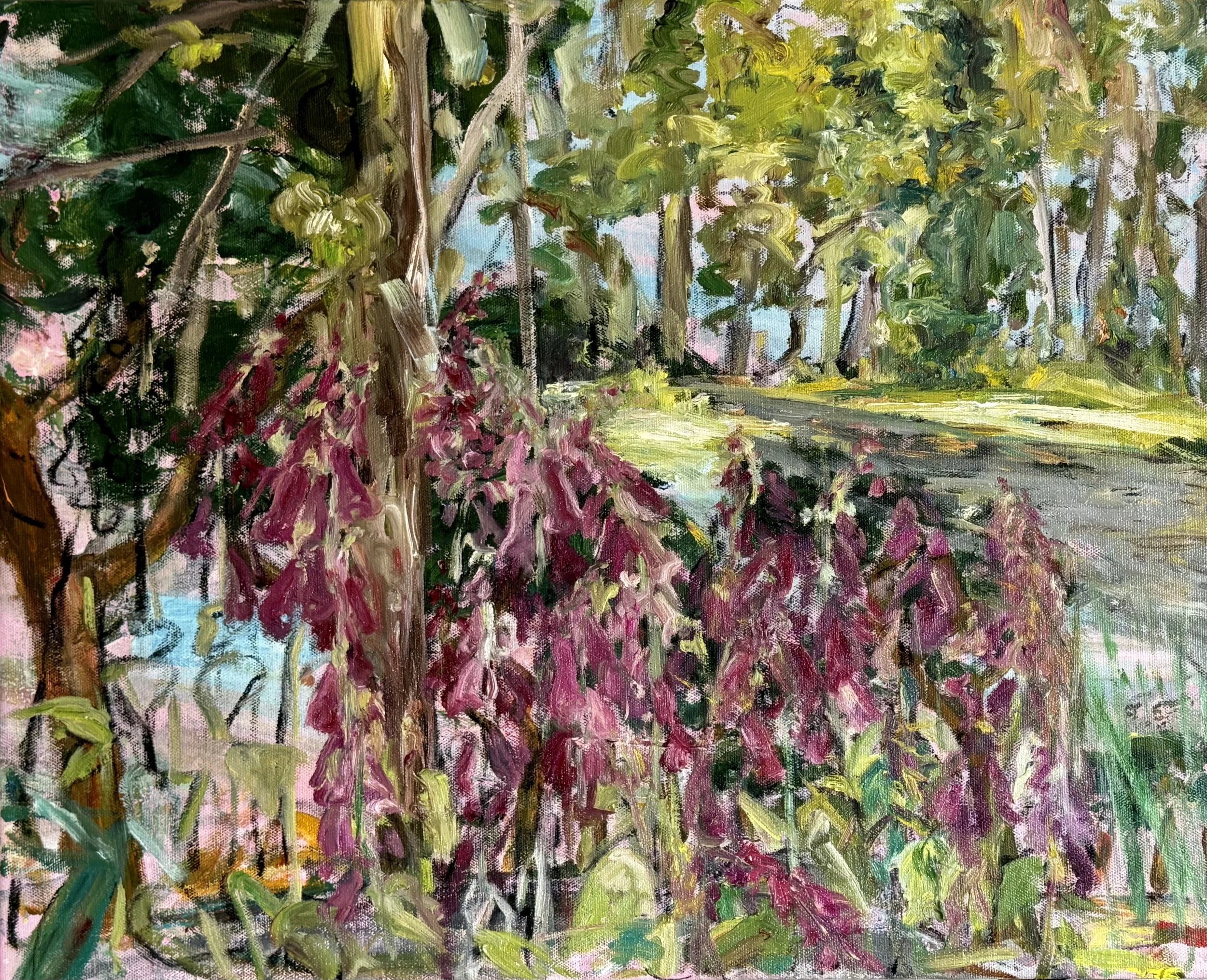 Digitalis purpurea summerday, 2025, Kohle, Öl auf Leinwand, 60 x 80 cm