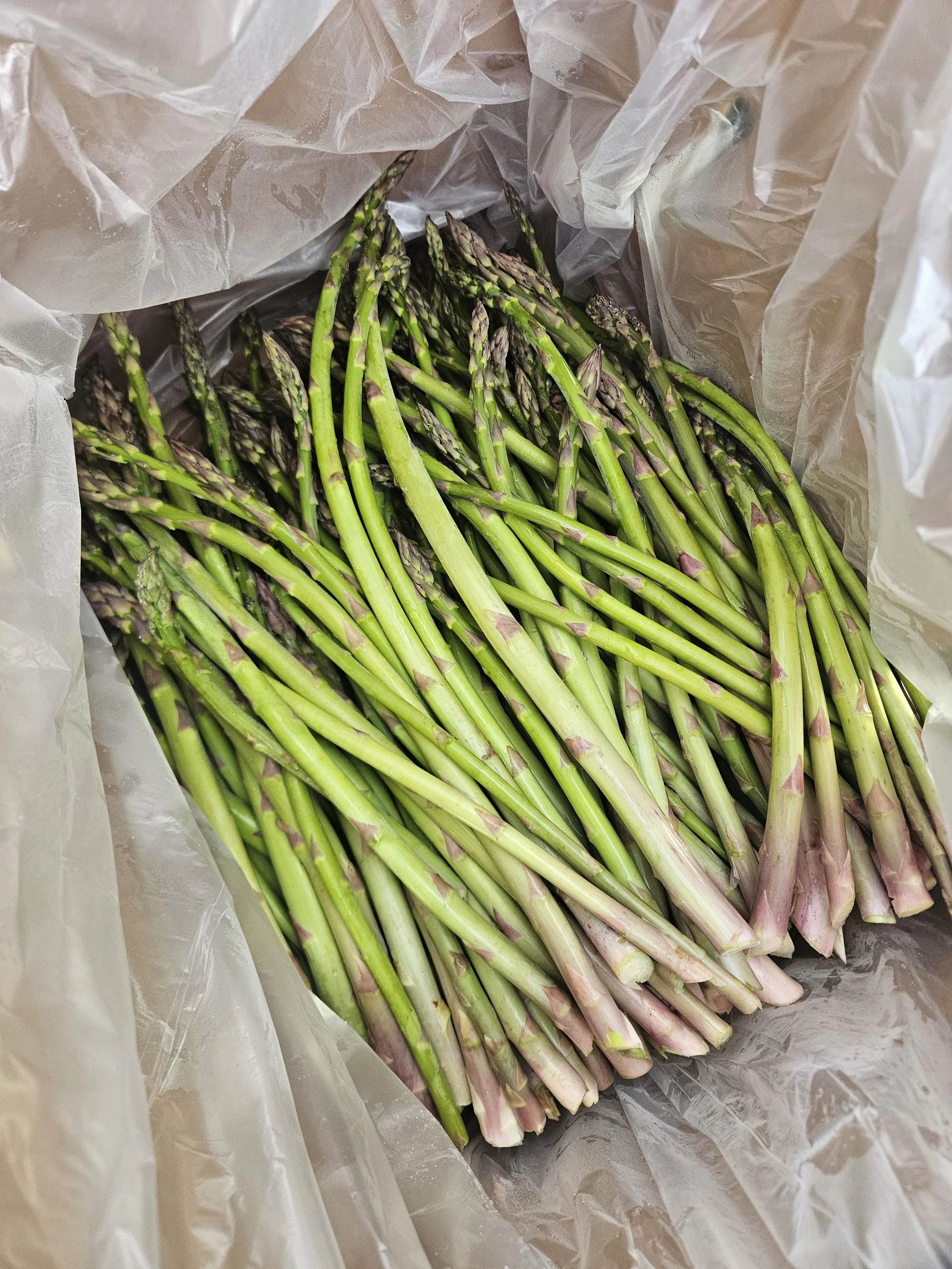 Asparagus 1.jpg