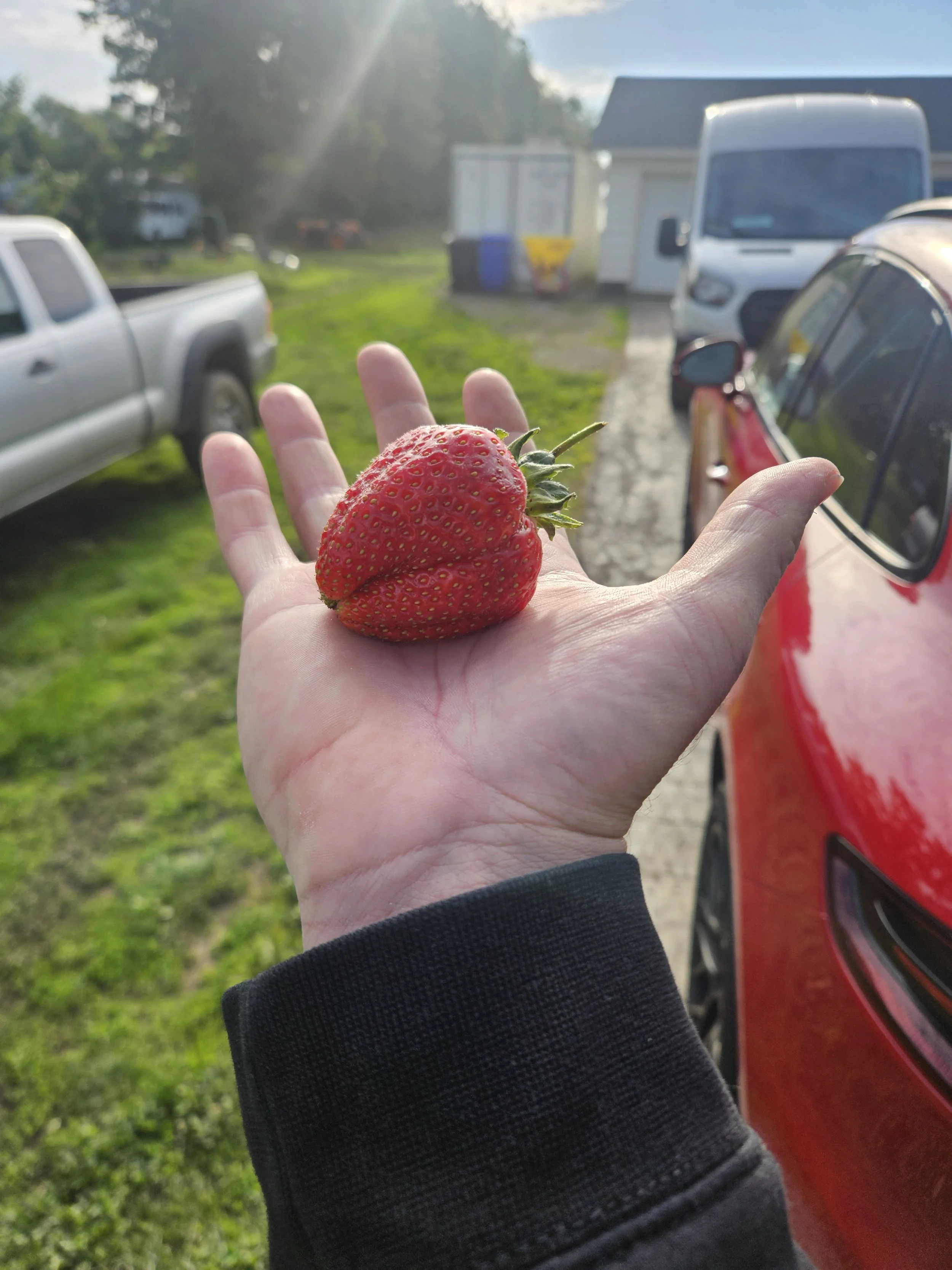 Strawberry Hand.jpg