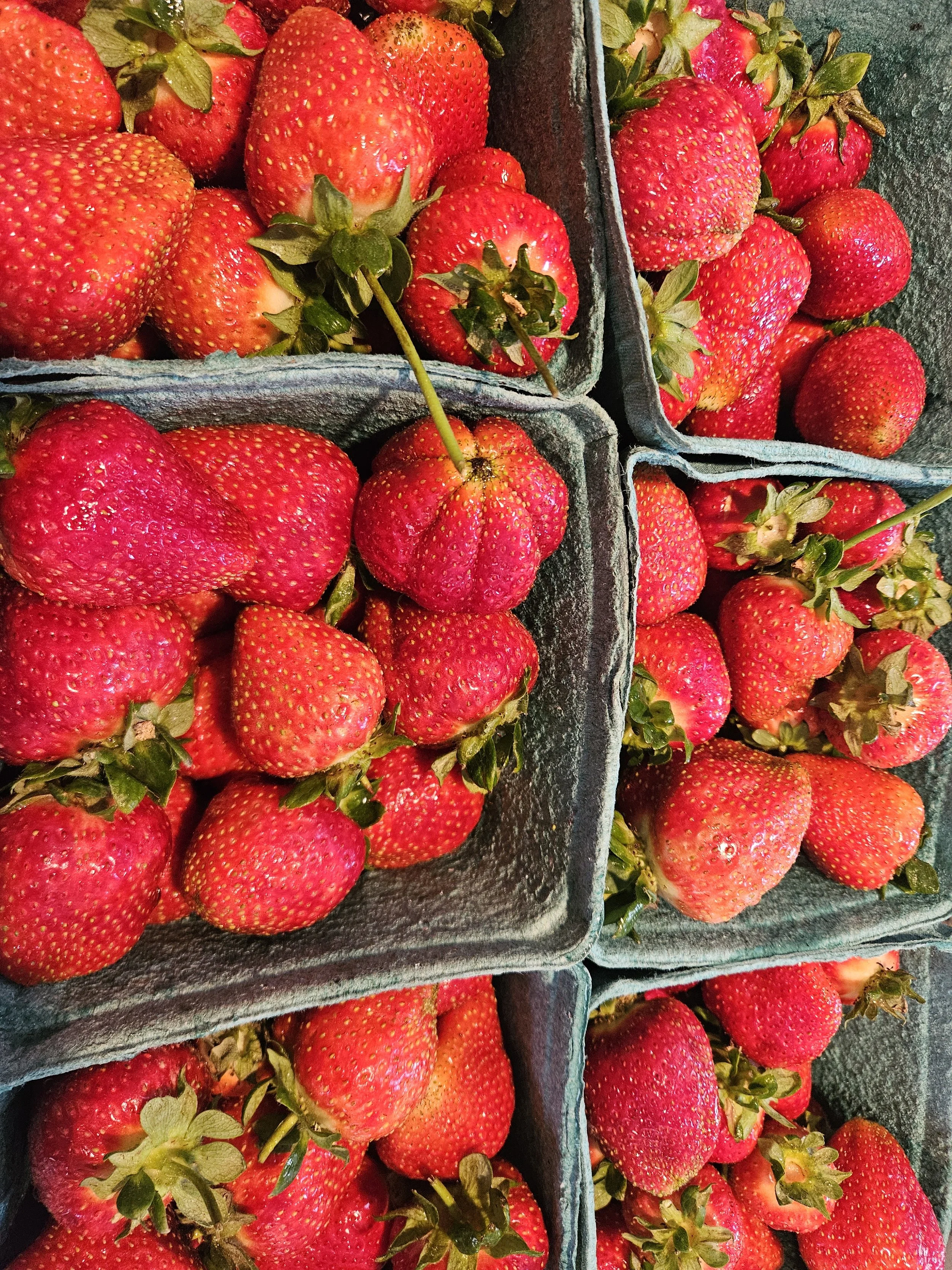 Strawberry Pints.jpg
