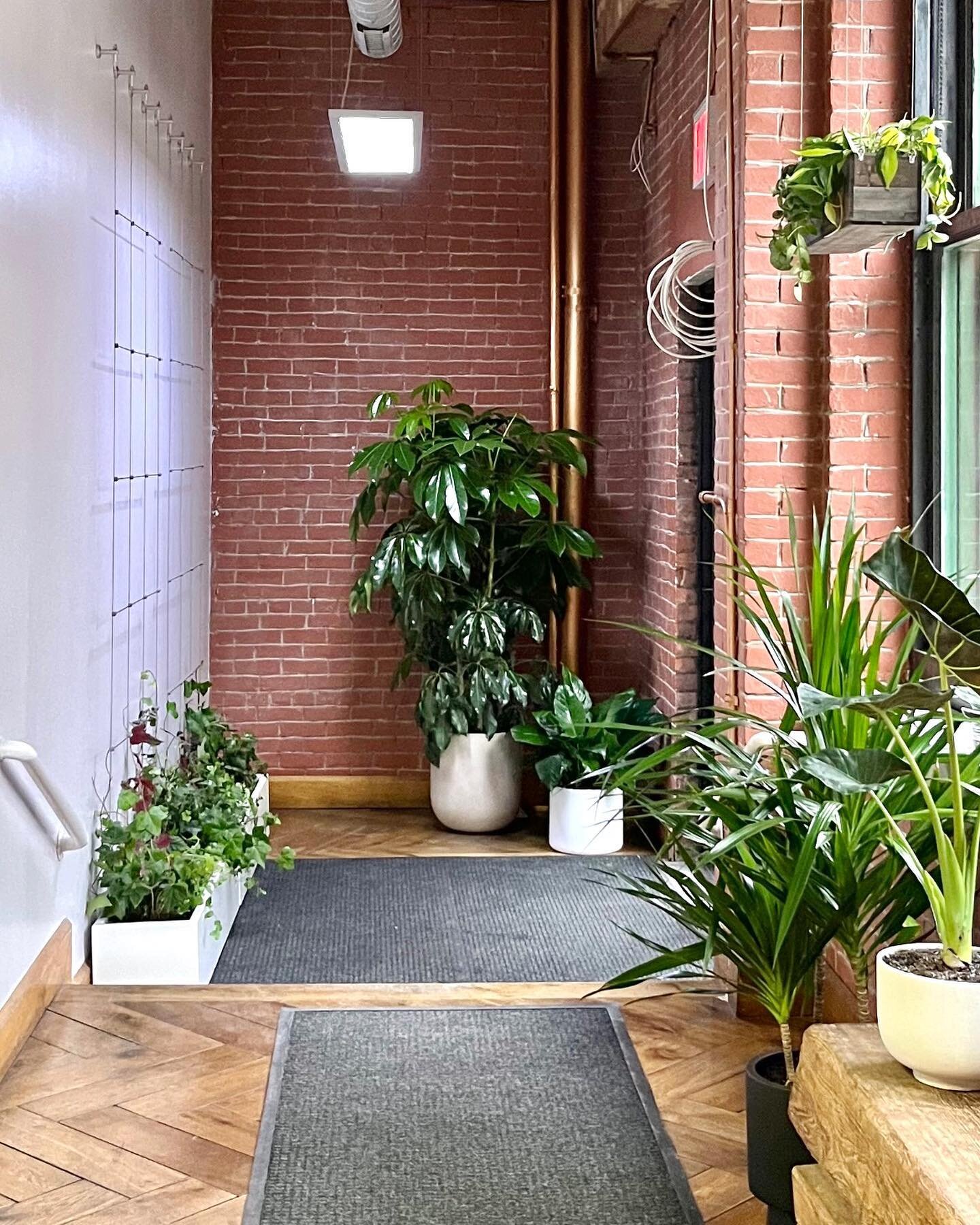 We revamped this lobby for one of our commercial clients last spring, adding a planter box and trellis to support the plants as they eventually fill the wall. Office entrances are usually just spaces for people to pass through, but we wanted to make 