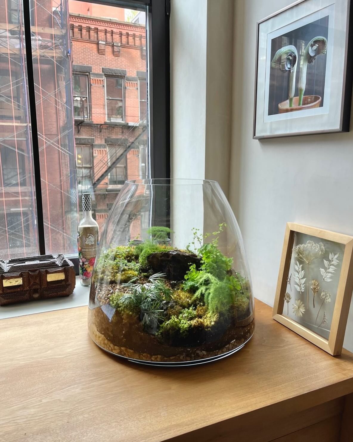 Crafting miniature landscapes within a single glass vessel is like capturing a world inside a bottle. We love the creative process of designing these scenes, whether it's a lush forest scape or a desert oasis. Each intricate detail draws you in, and 