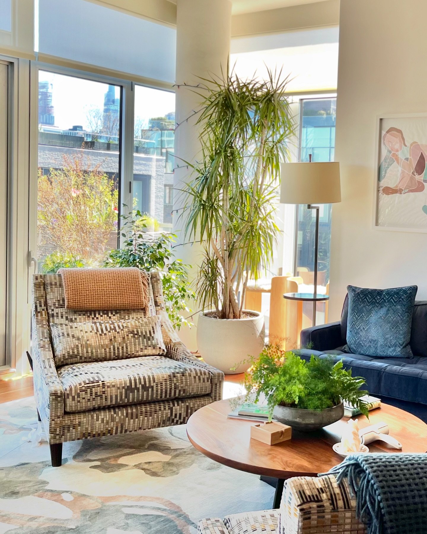 This striking Dracaena Marginata Character tree steals the show in our client&rsquo;s Chelsea apartment. Thanks to the floor-to-ceiling north and east windows, it basks in perfect lighting conditions&mdash;bright yet gentle✨🌿Additional touches like 