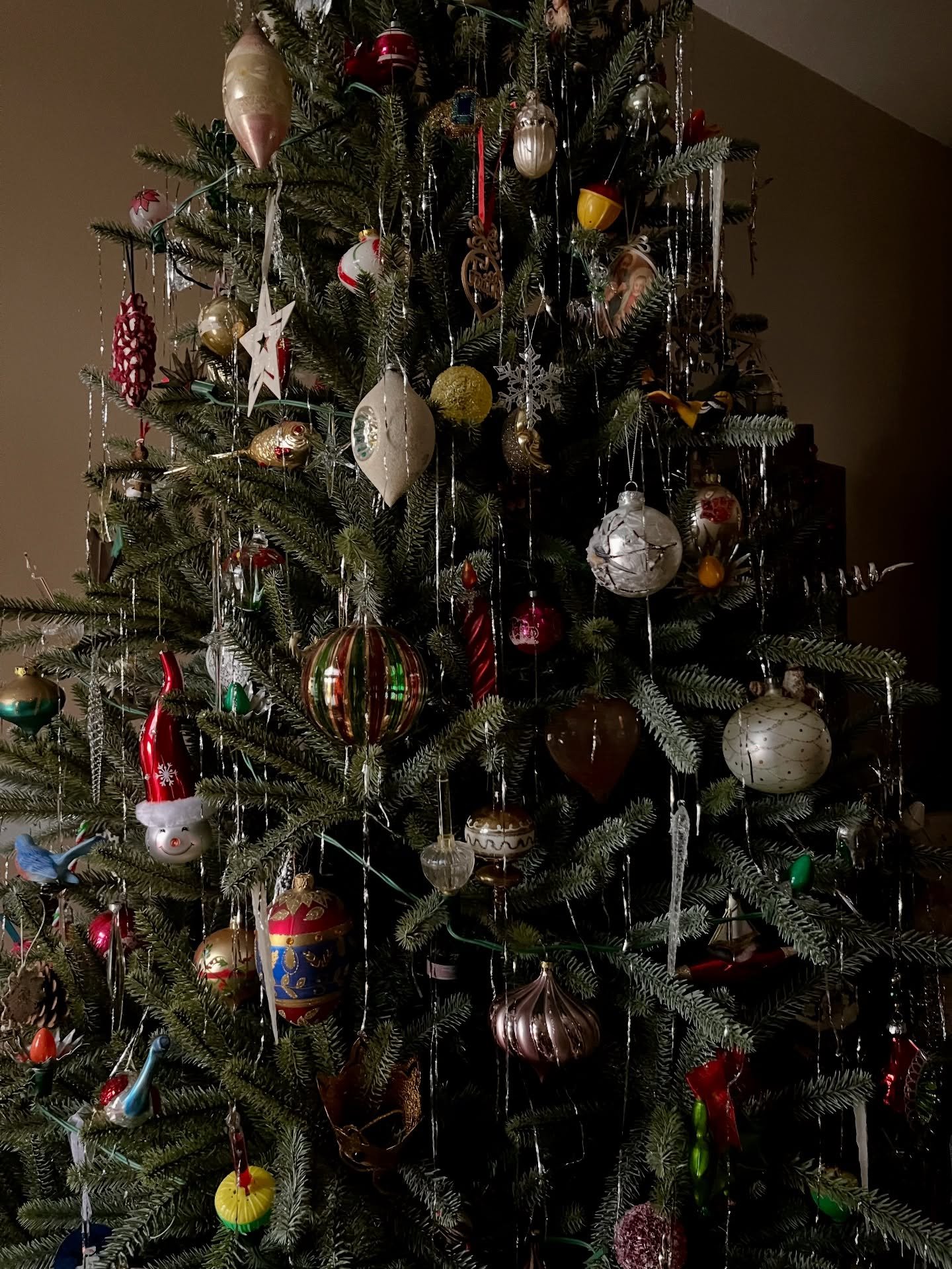 Taking in the little details, enjoying time with family and feeling excited for what the new year will bring. Happiest holidays 🤍✨