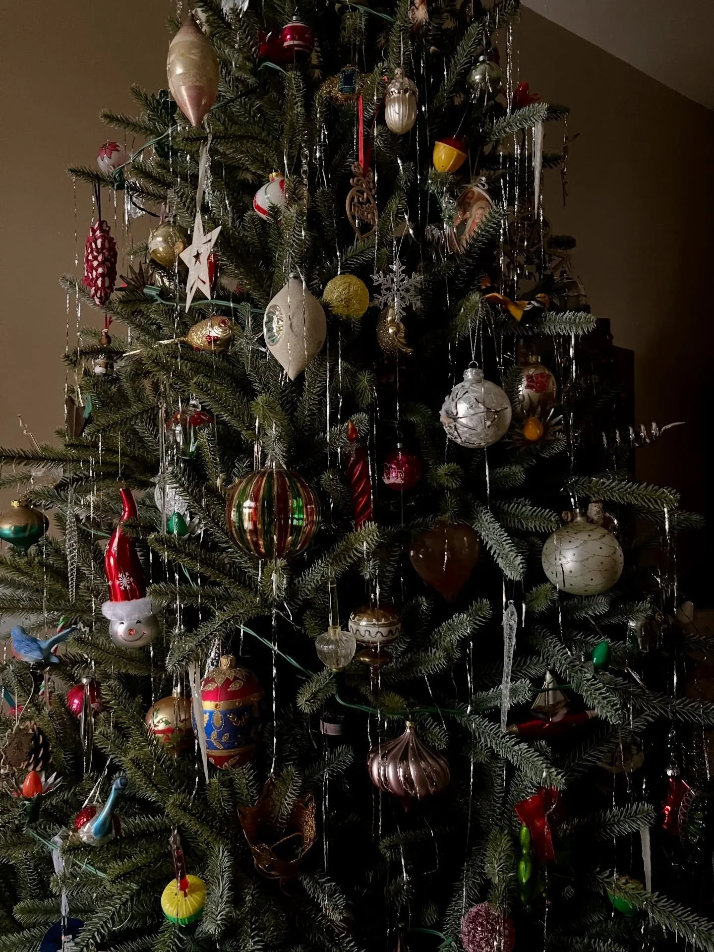 Taking in the little details, enjoying time with family and feeling excited for what the new year will bring. Happiest holidays 🤍✨