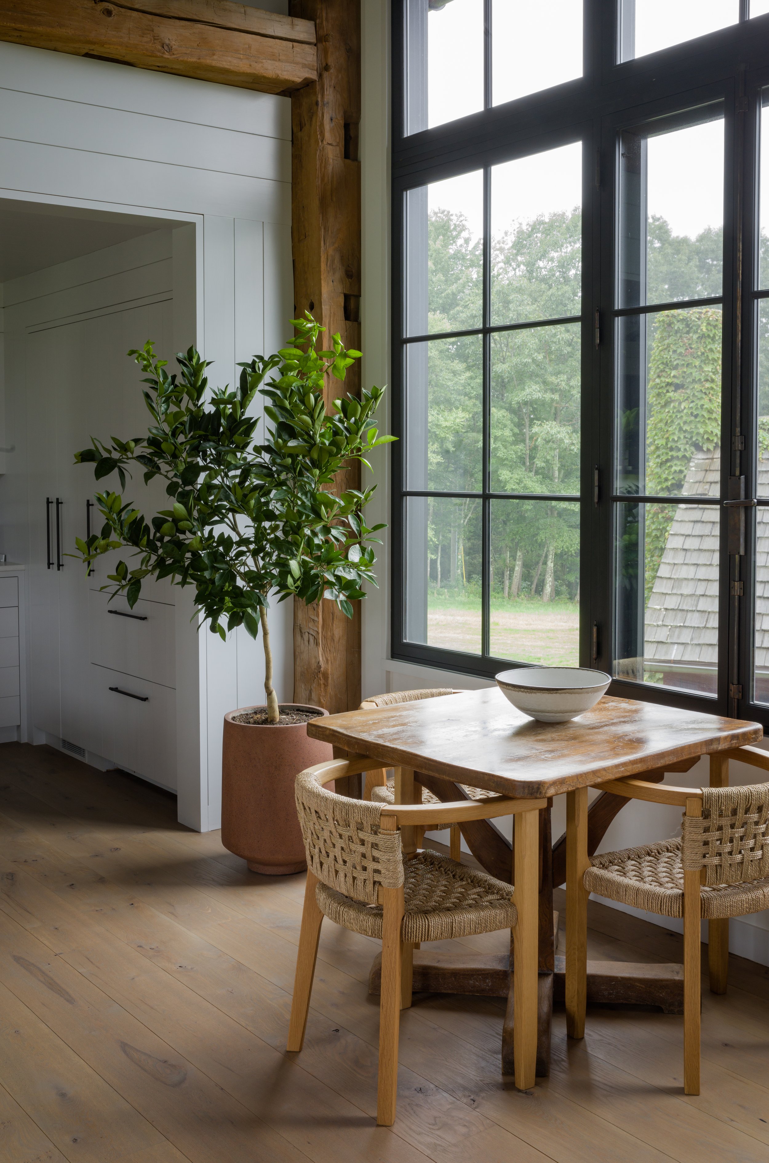 Orange Tree_Restored Barn_Lady Pruner Plant Design_CT