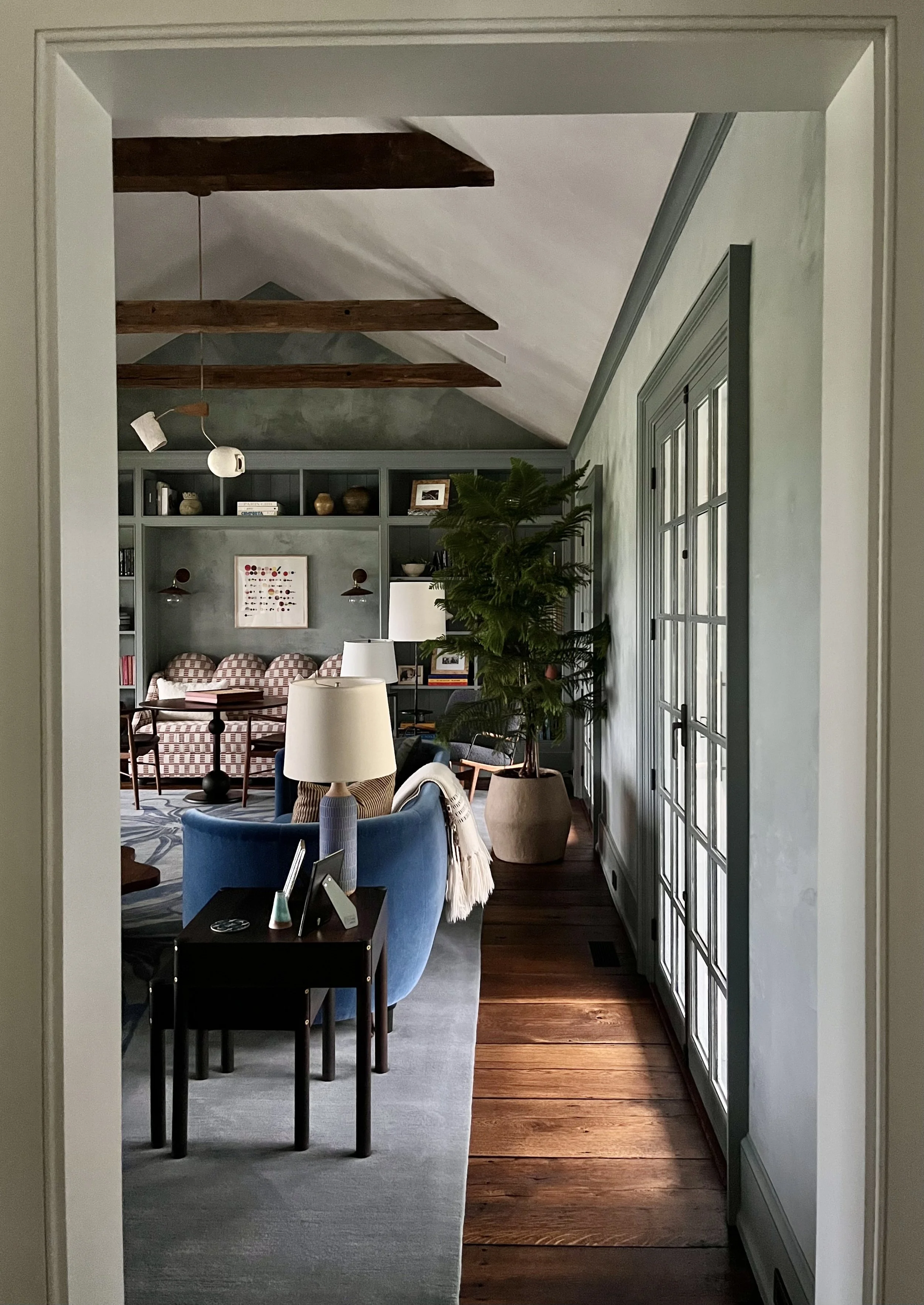 Indoor Plant Design_Norolk Island Pine