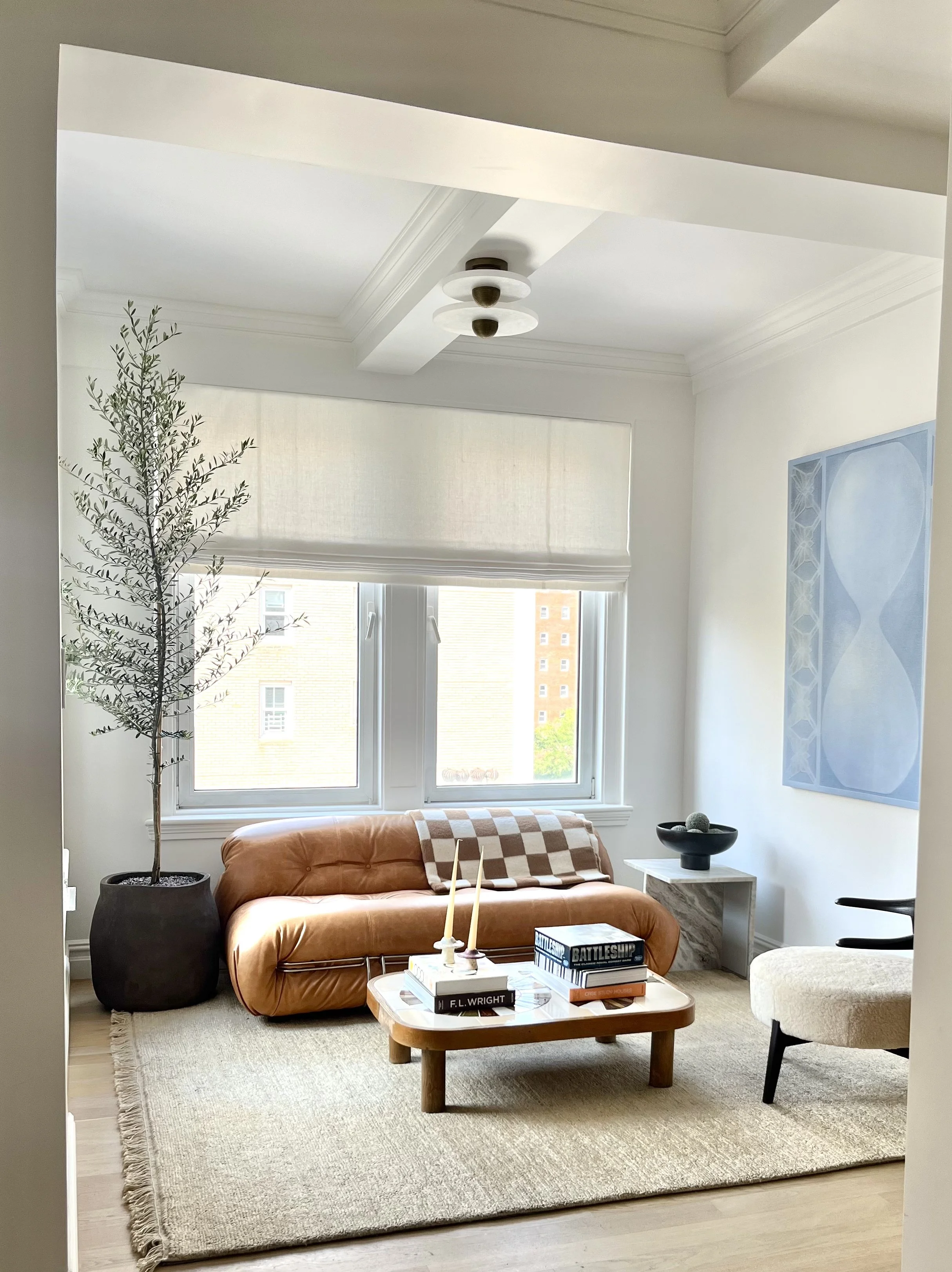 Lady Pruner Plant Styling_Olive Tree_Flatiron 27 