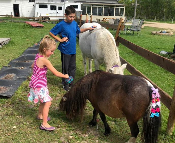 CHVN - Ducks, Horses, and Pigs Bring Healing to Kids Struggling with Anxiety
