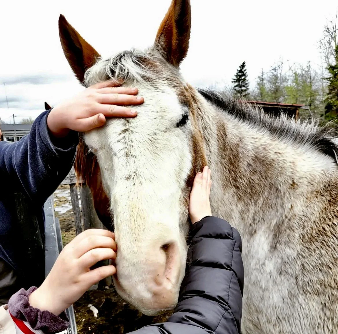 How Being Grateful Changes Our Brain</span>