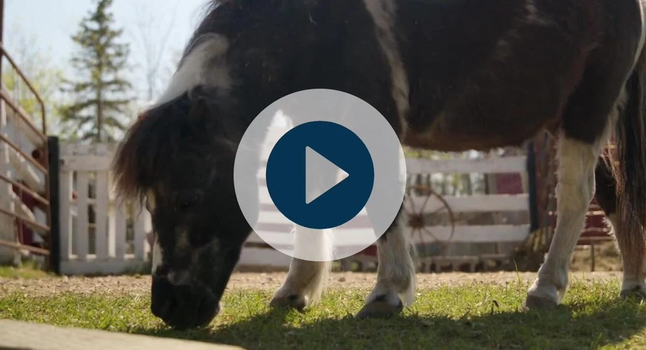 AMI Our Community - Lil' Steps Documentary