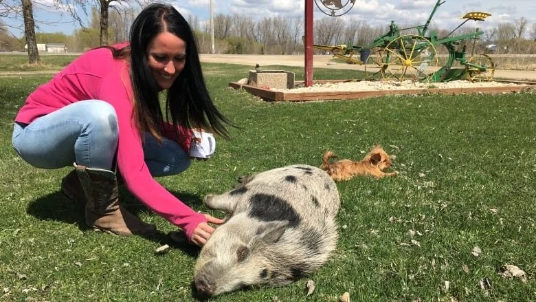 CBC - Taking the Reins on Your Child's Anxiety Could Mean a Trip to the Farm
