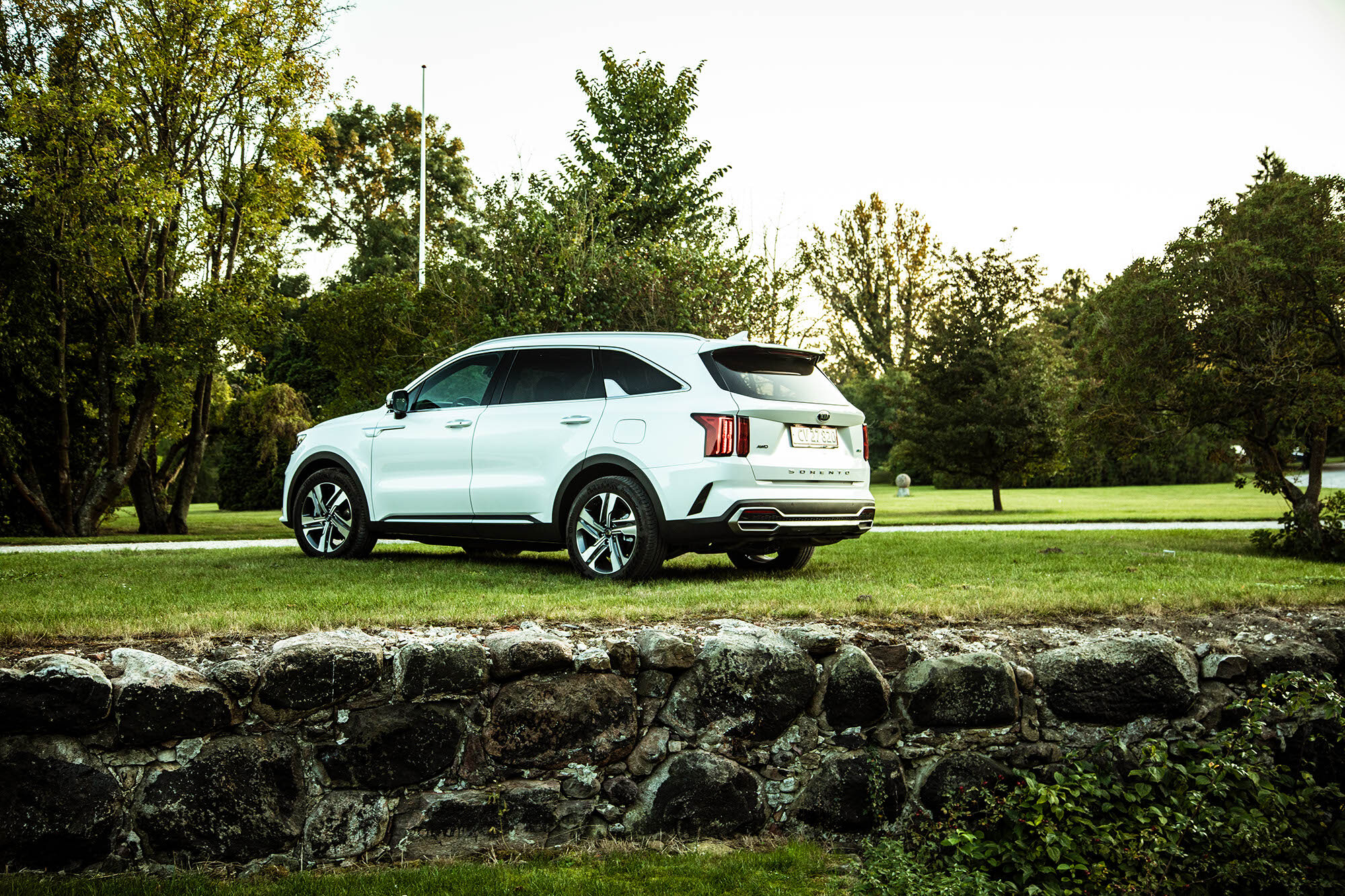 Kia_Sorento_Hvid_Statisk_16_low-res.jpg