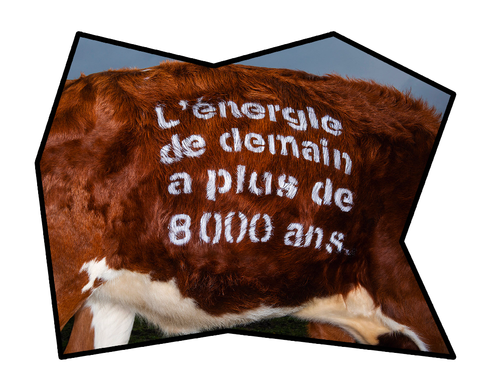 8000vig.png