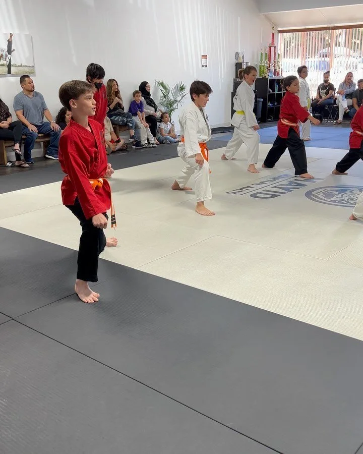 Follow our instagram Journey — Mayid Martial Arts