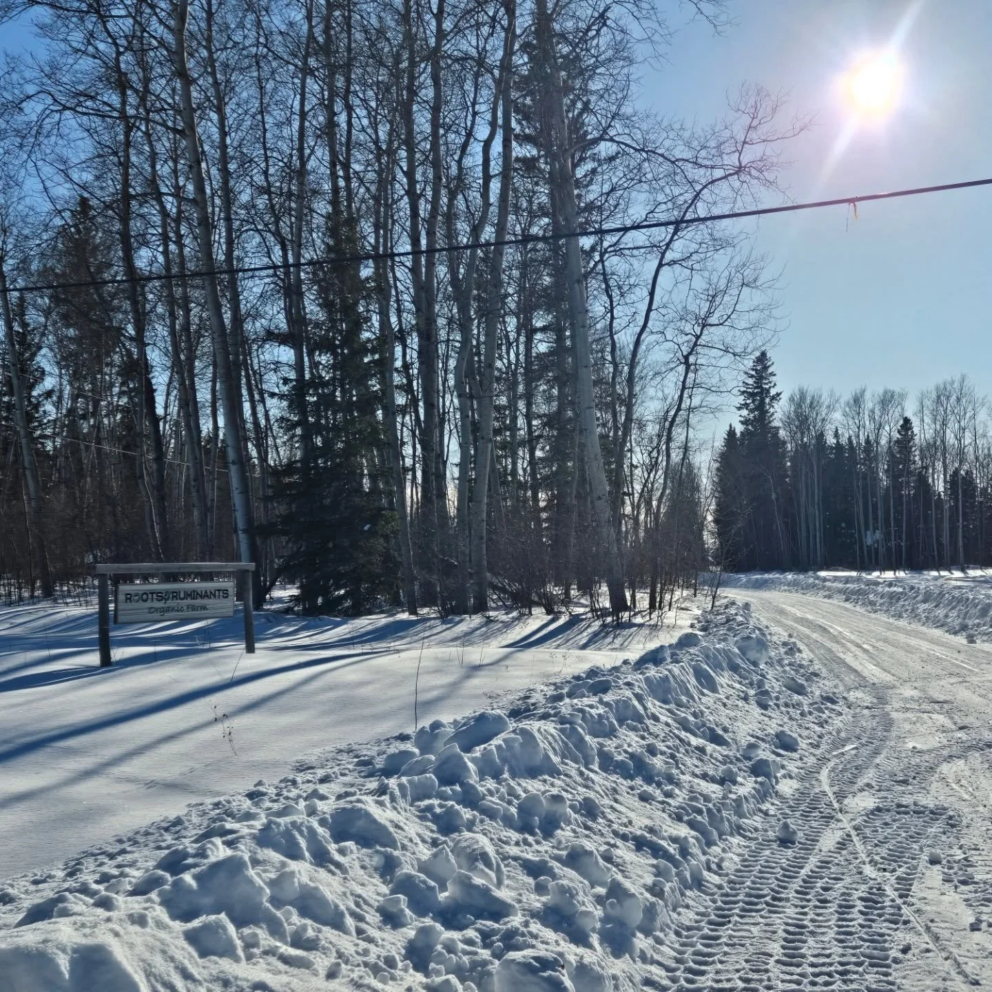 Sun is shining. 
Road is cleared. 
Most be the first day of Spring!!