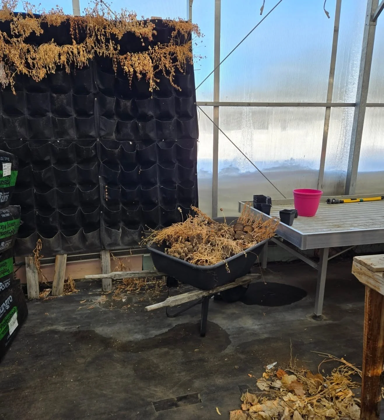 Spring Hilary is currently not impressed with Fall Hilary who left some cleaning work to be done...