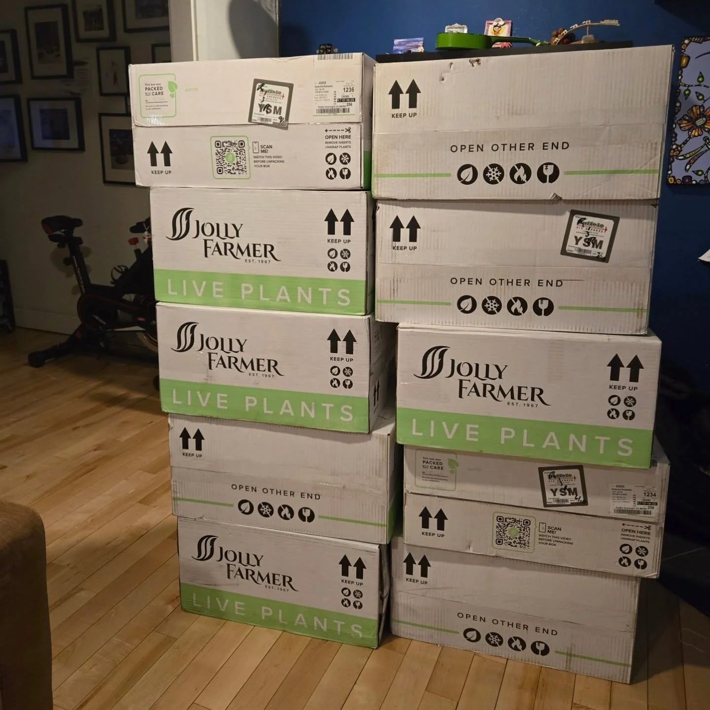 Adam had to drive to Hay River today to pick up Round 1 of our shipment.  It's too late and too cold to unpack everything so they will live in the living room tonight. Can't wait to open them tomorrow morning!