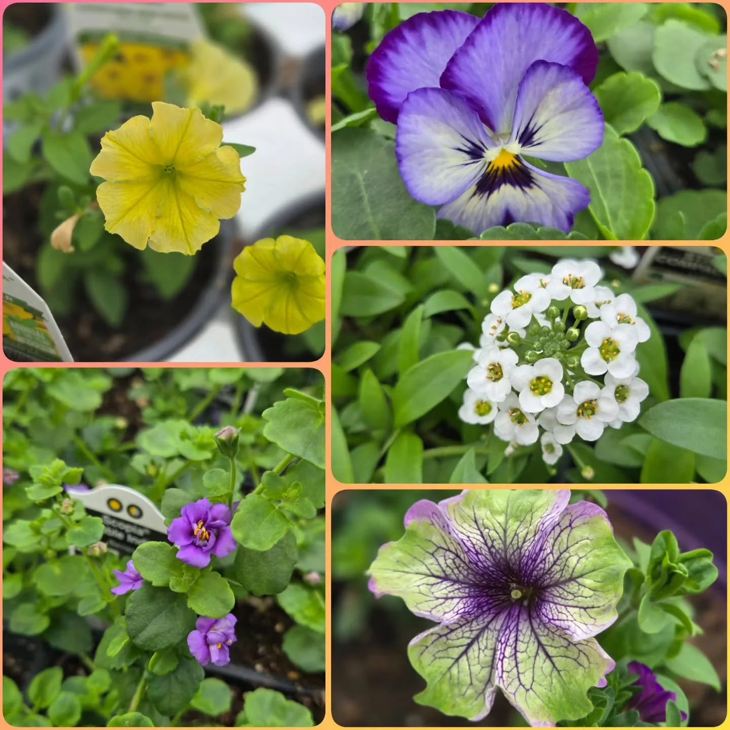 Despite the weather,  things are happy in here!