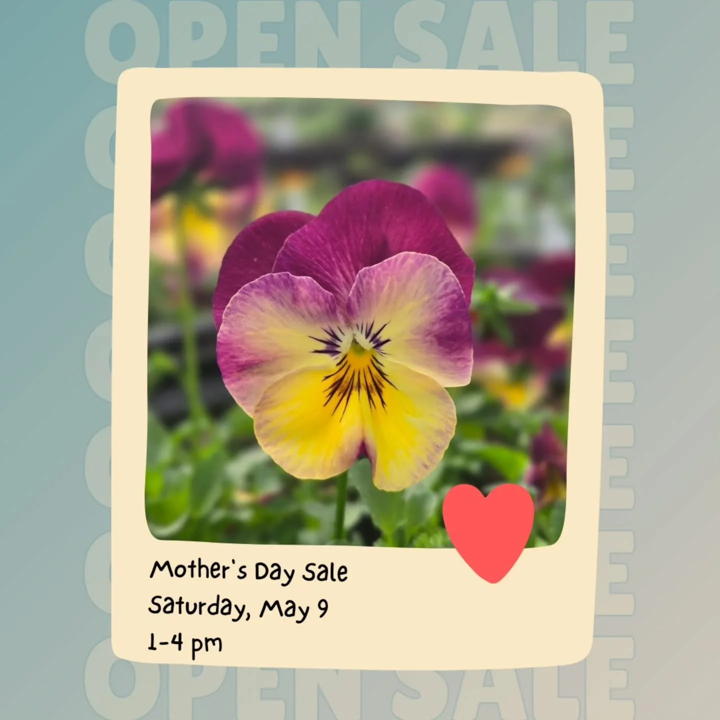 Mother's Day Sale
Open 1 Day Only until Season Opening

Come pick up your favourites and something for the special ladies in your lives!

The whole greenhouse will be open for browsing!

Saturday,  May 9
1-4 pm