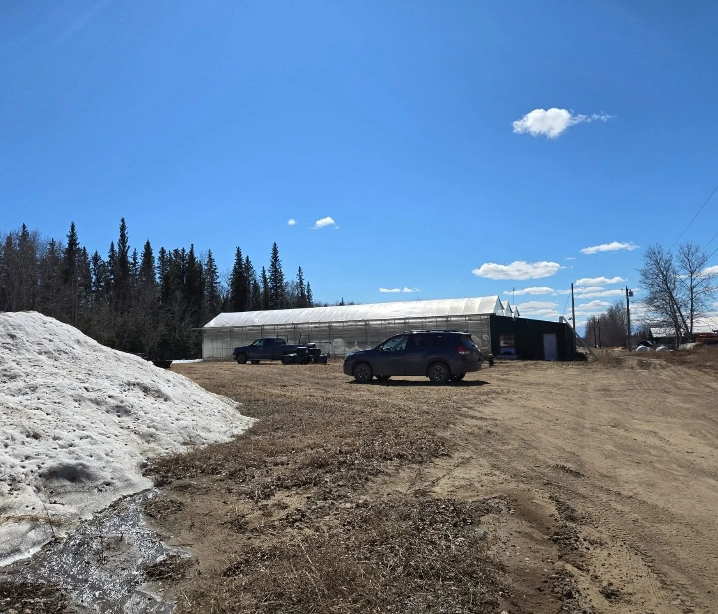 Not sure if we've ever opened with snow piles outside 🤣

We are excited to welcome you tomorrow but there's still lots of work to do. 

Many things will still be small and you may choose to wait until season opening.

We are building new planters ou