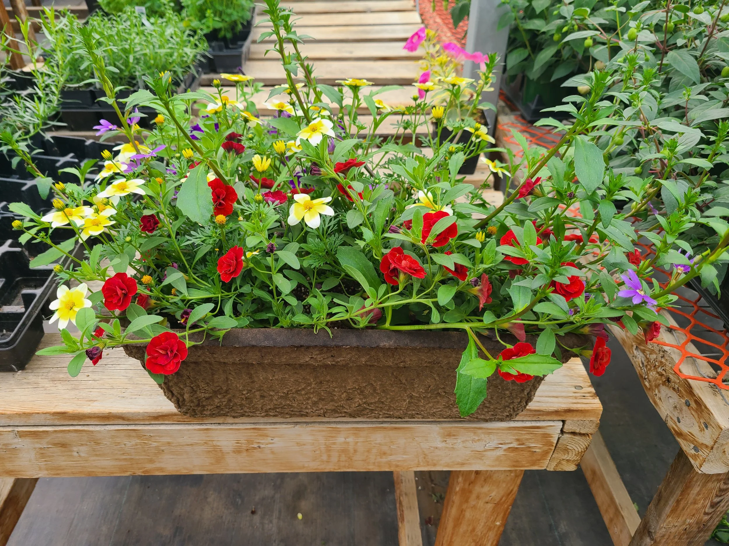 16" Rectangle Pot