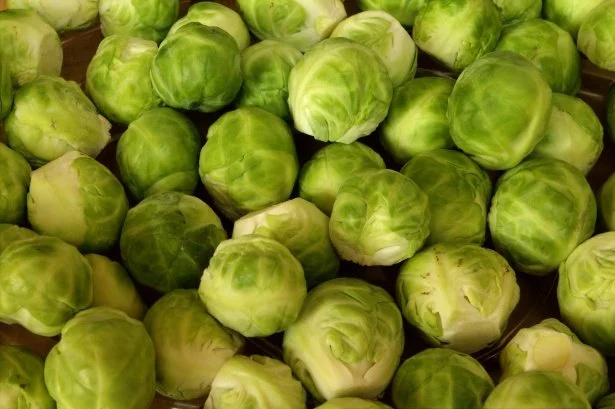 rosenkohl.jpg