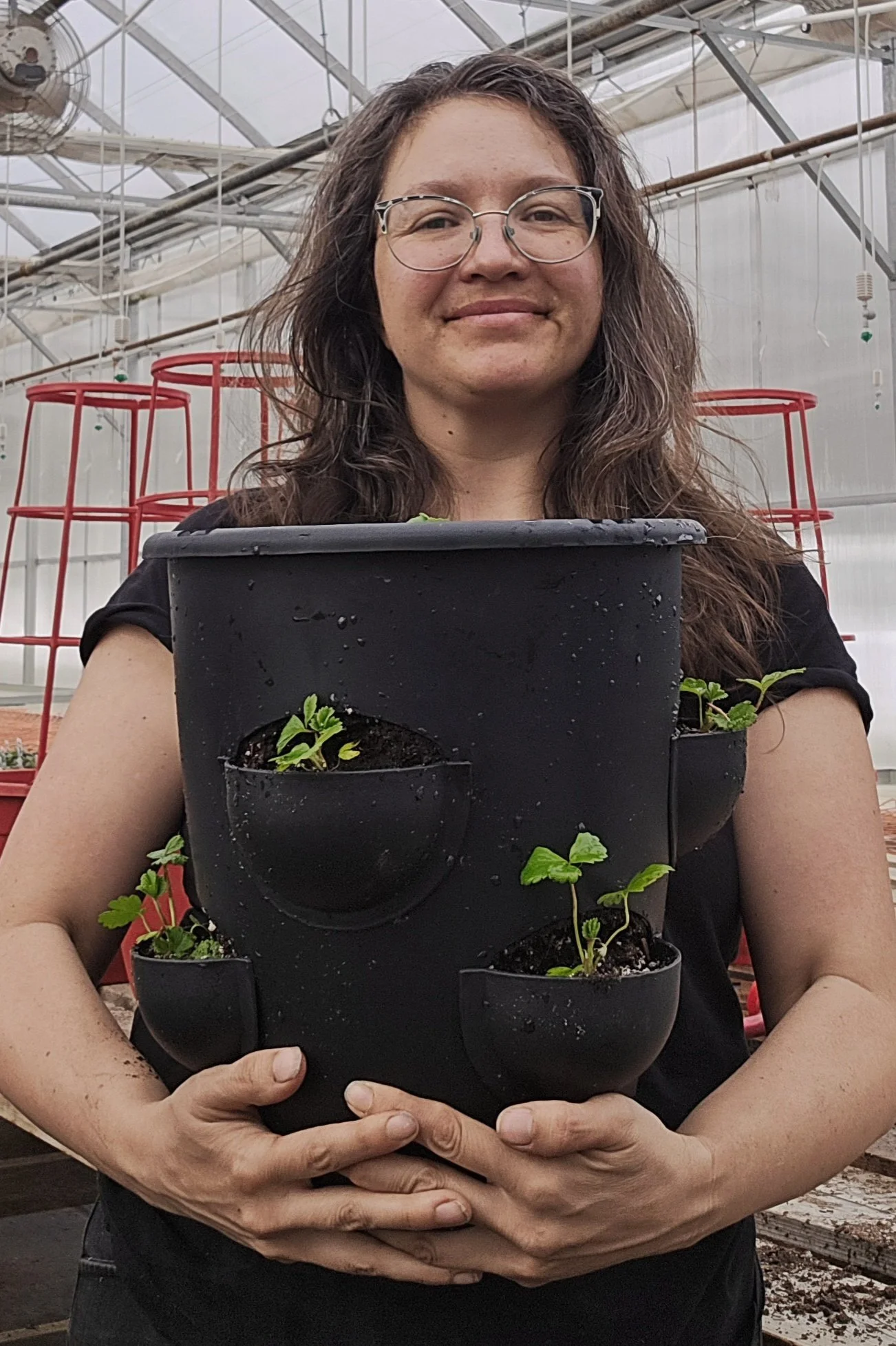 Strawberry Planter - April 22