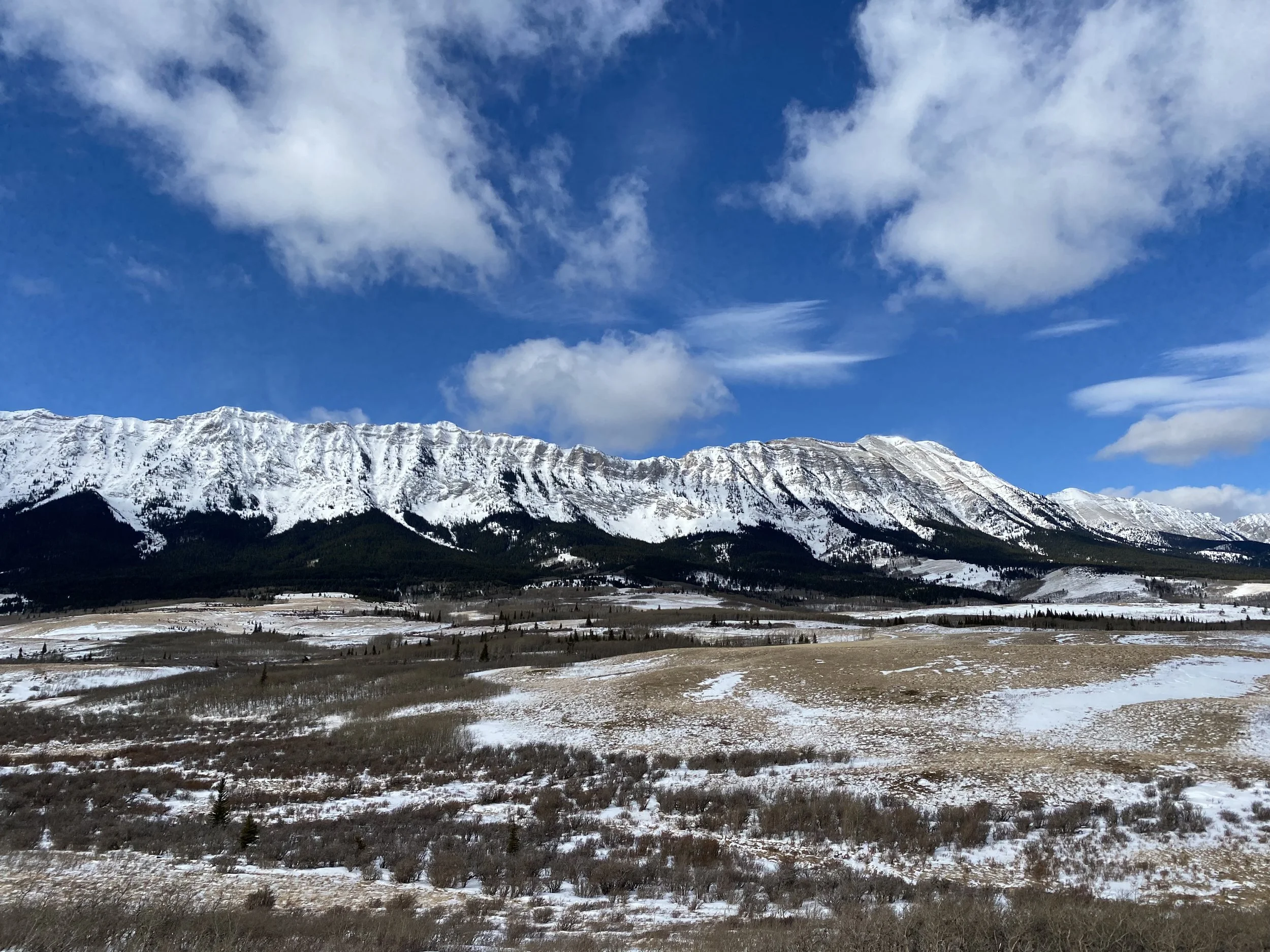 *Save the Date* for these upcoming events: