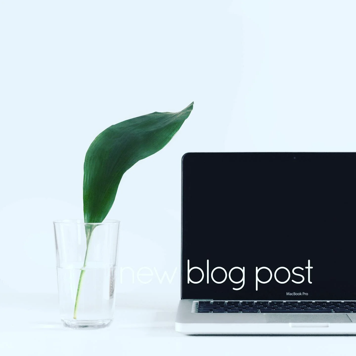 Welcome to the SGK Blog!
