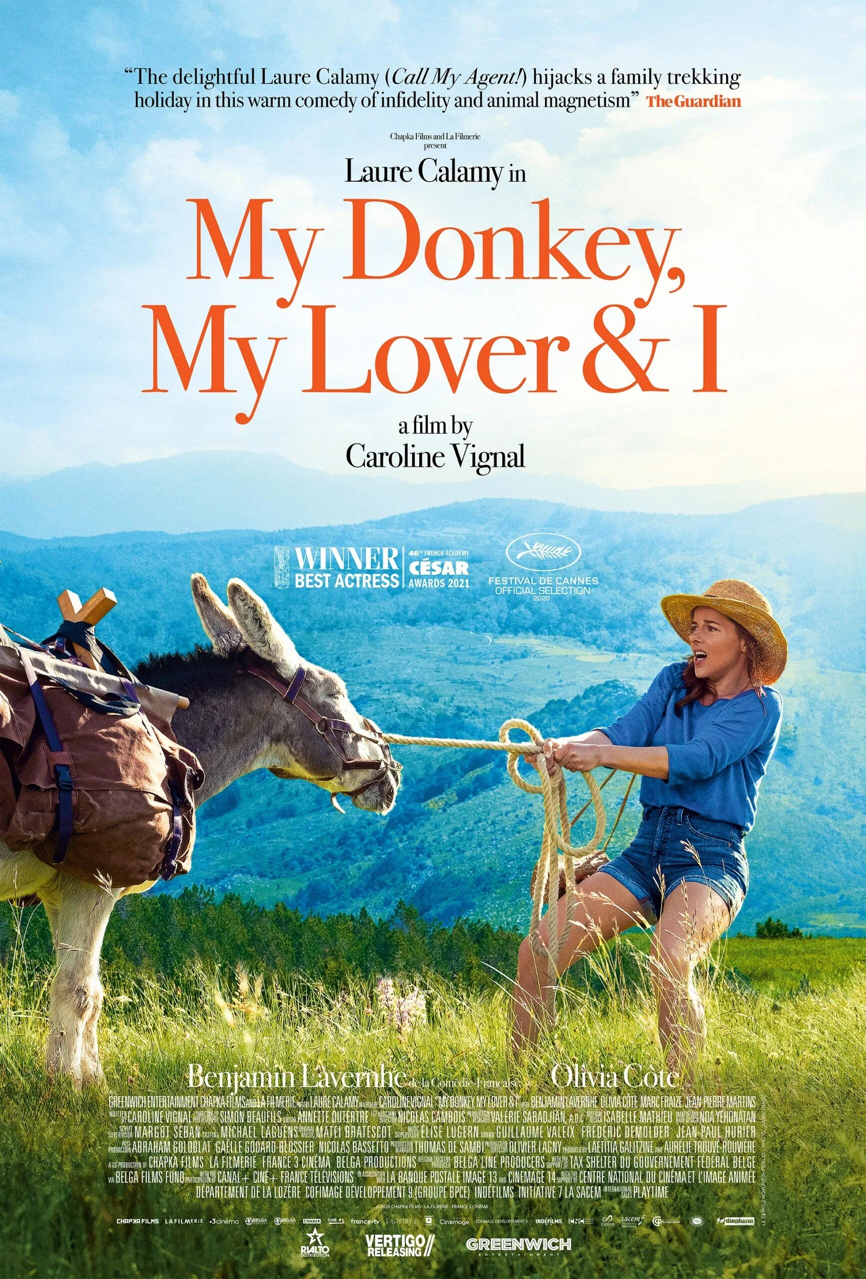 MY DONKEY MY LOVER &amp; I (2020, dir. Caroline Vignal, France) and MY OLD SCHOOL (2022, dir. Jono McLeod, Scotland) by Patrick McElroy