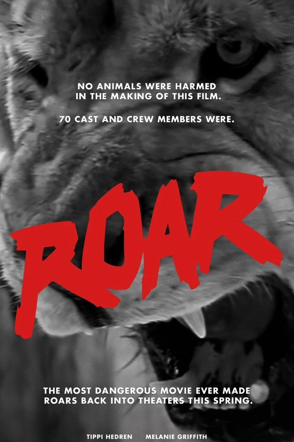 Roar (1981, dir. Noel Marshall, US) by Matt Olsen