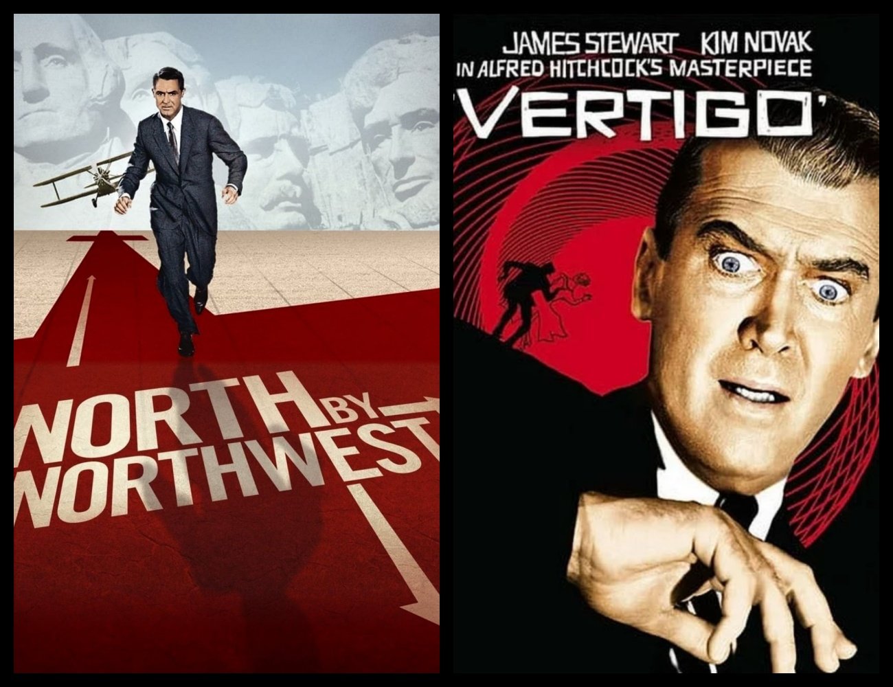 HITCH AT THE SUMMIT: NORTH BY NORTHWEST &amp; VERTIGO by Craig Hammill