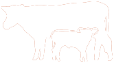  Rottal Land and Livestock