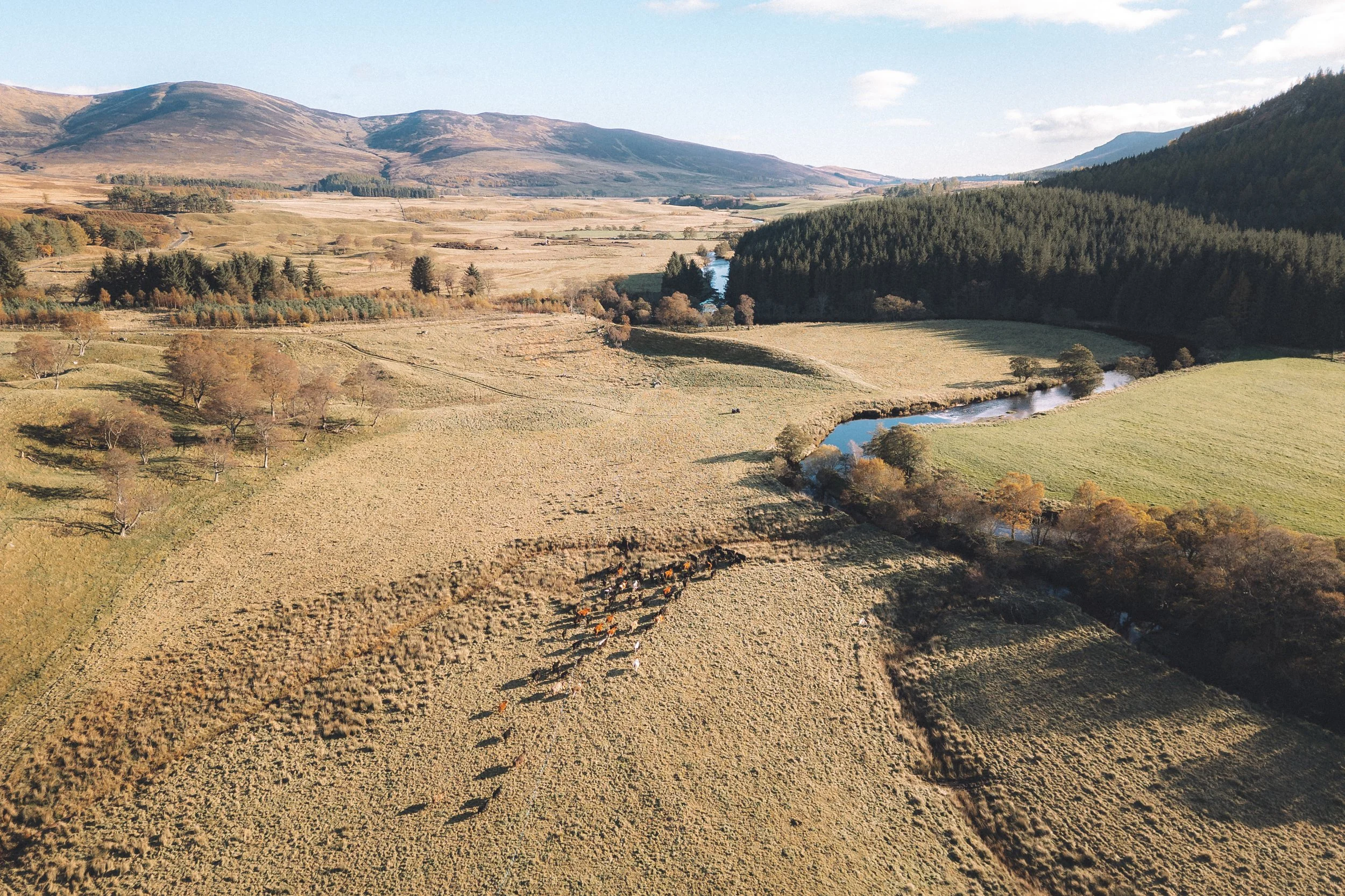 20251027-DJI_0523 - Rottal - HR.jpg