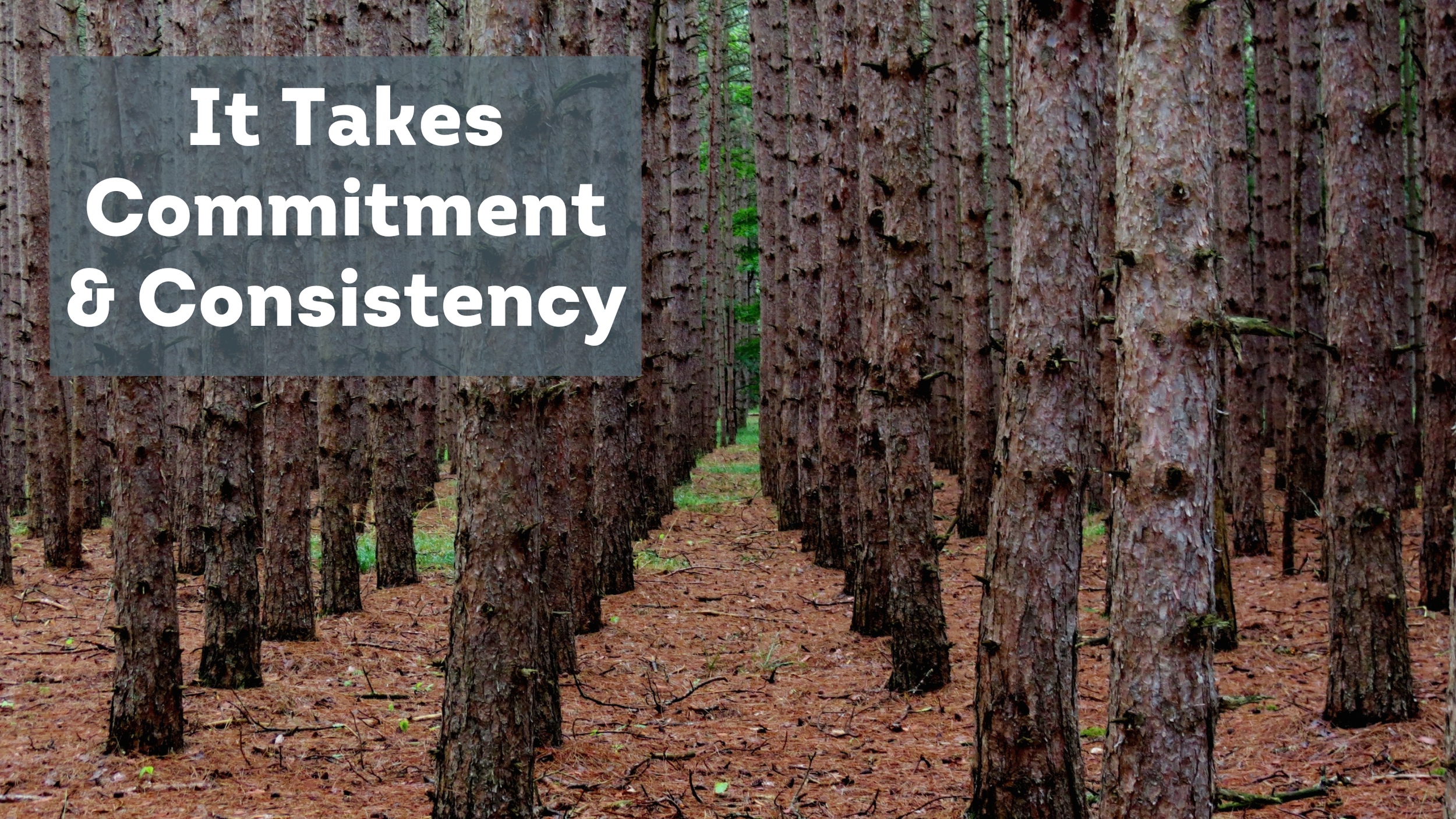 It Takes Commitment and Consistency