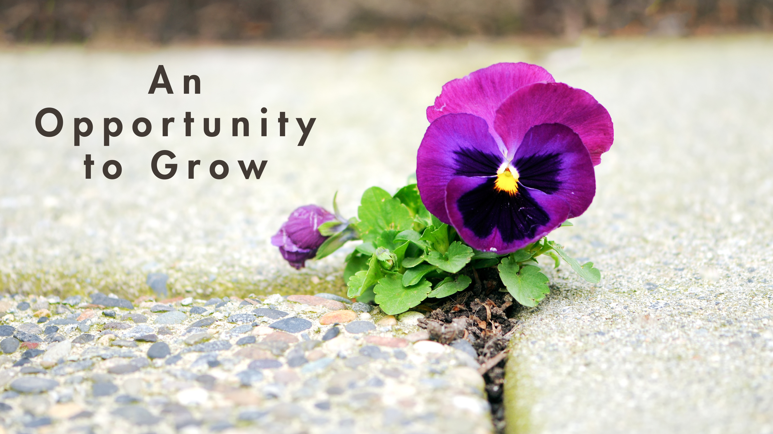 Your Challenges are an Opportunity to Grow