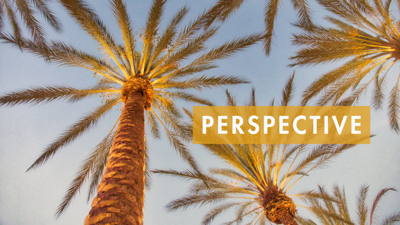 Perspective Changes Everything