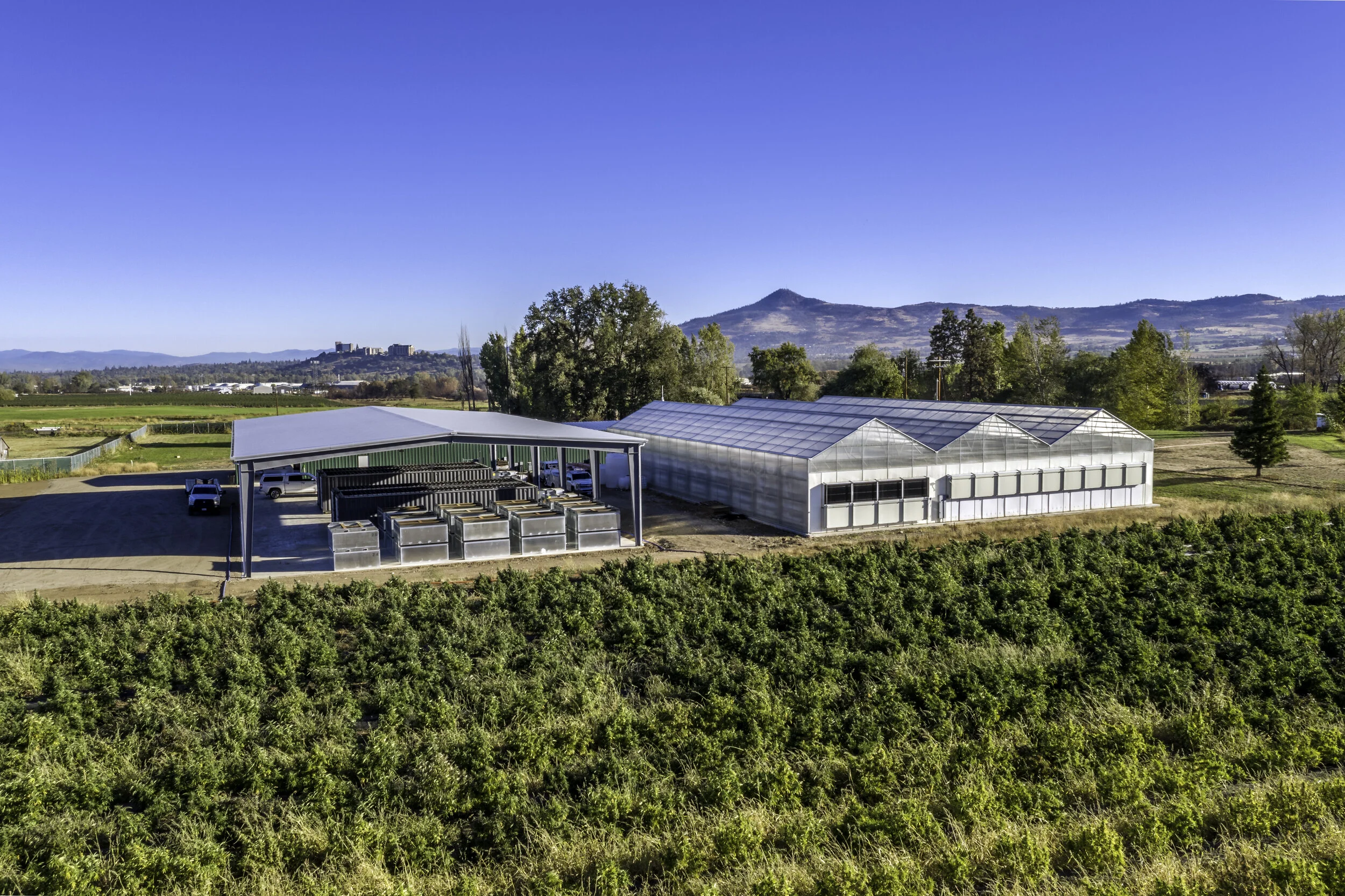 Almanac Agriculture - Oregon Hemp Drying & Germination Services