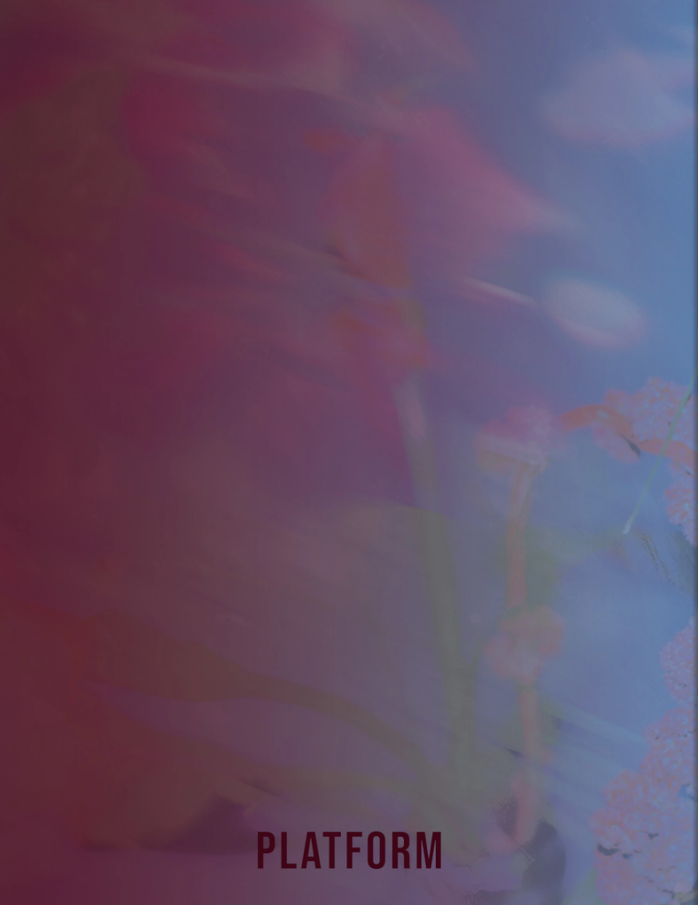 92.png