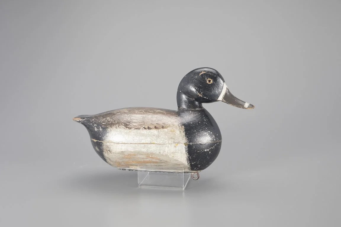 Tucked-Head Ring-Neck by Verne Cheeseman (1897-1956)