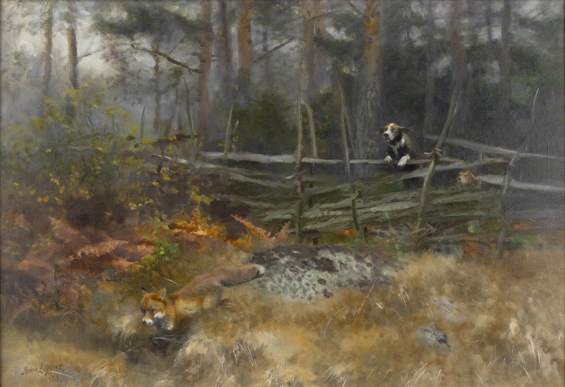 23459_web.jpg