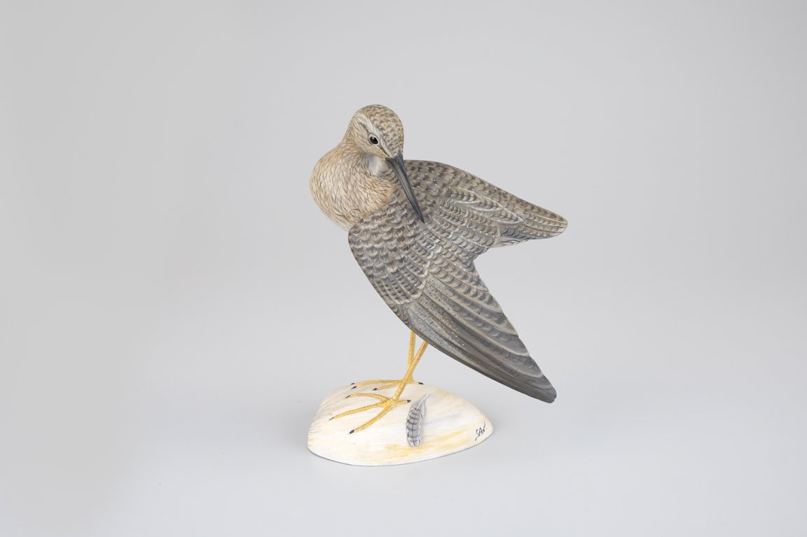 Preening Yellowlegs by Steve Weaver