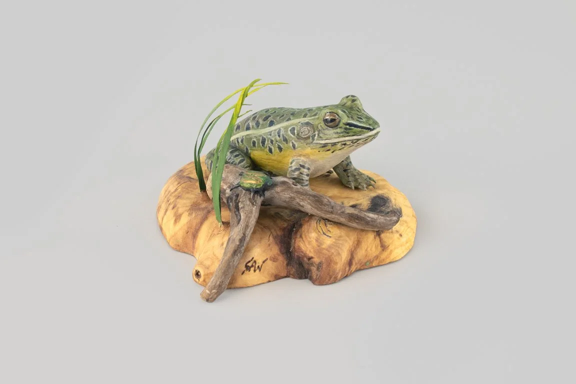 "Too Close For Comfort" Pickerel Frog by Steve Weaver (b. 1950), Sandwich, MA