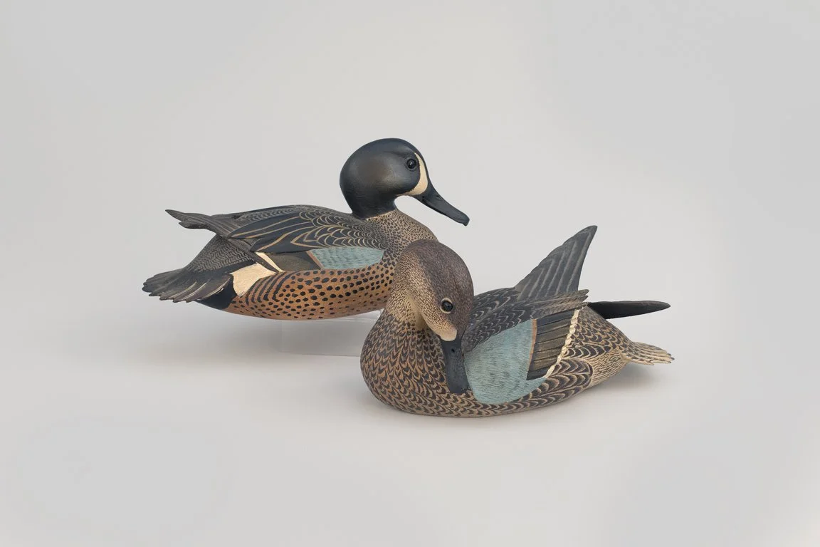 The Johnson-Ward Blue-Winged Teal Pair