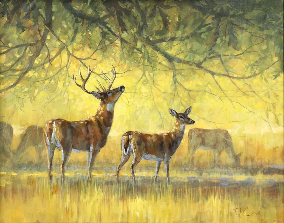 Rod Crossman (b. 1952), Acorn - Whitetail Deer, acrylic on canvas, 24 by 30 in.