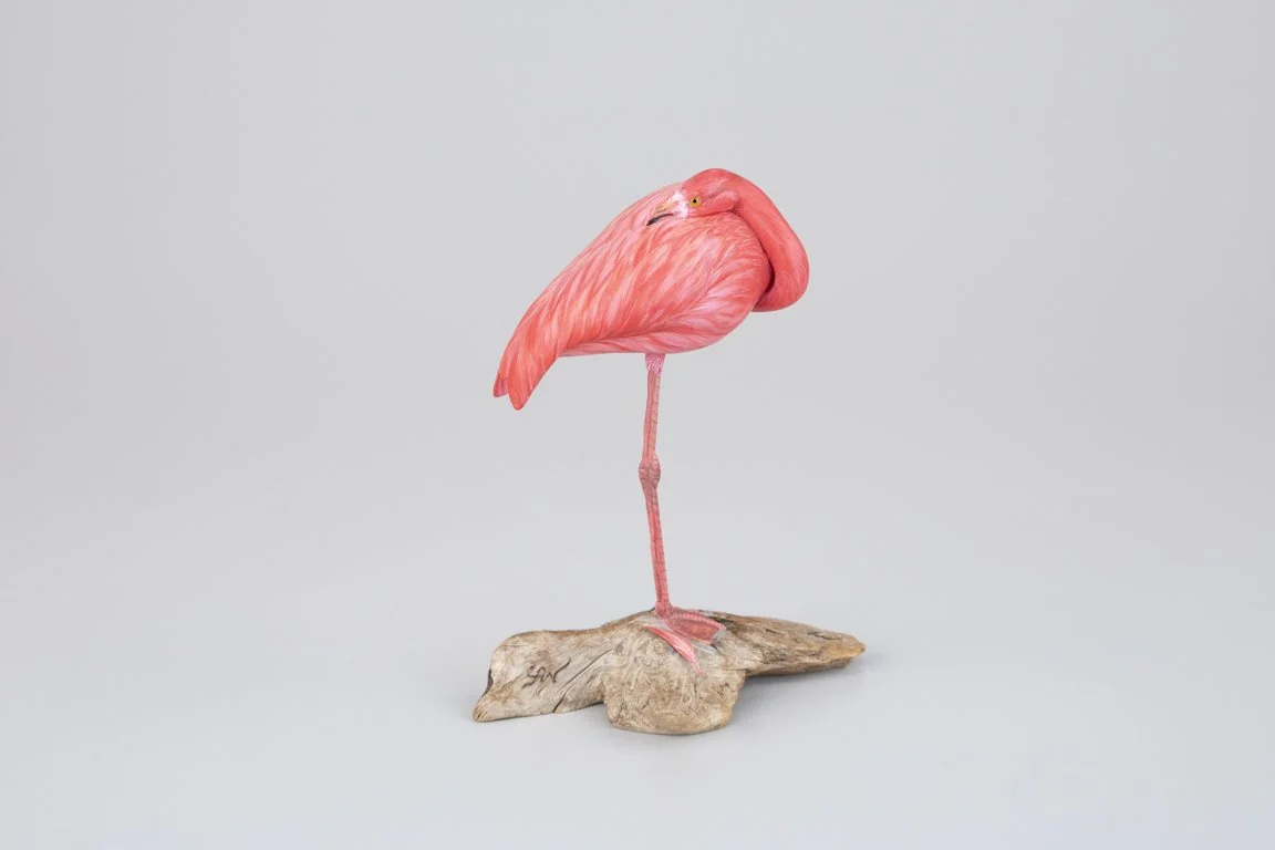Miniature Sleeping Flamingo by Steve Weaver
